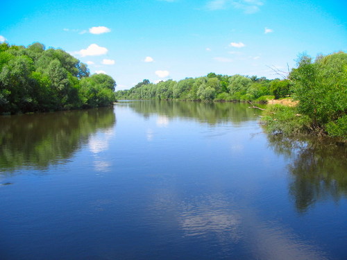 Берег реки в пригороде Брянска